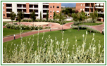 REALIZZAZIONE E MANUTENZIONE DI UN PARCO CONDOMINIALE
