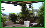 ARREDAMENTO A VERDE DI TERRAZZI E SPAZI ESTERNI
