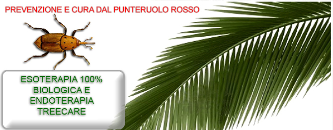 LOTTA AL PUNTERUOLO ROSSO DELLE PALME, CASTELLI ROMANI, ROMA